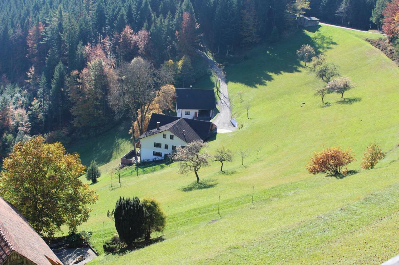 Haus Laetsch Lejlighed Bad Peterstal-Griesbach Eksteriør billede